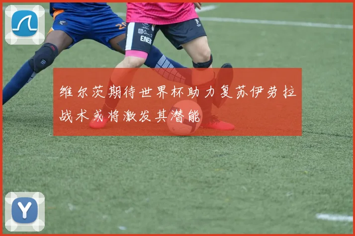 维尔茨期待世界杯助力复苏伊劳拉战术或将激发其潜能
